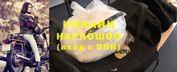 прущие грибы Богородицк