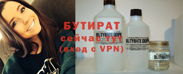 молекула духа Богданович