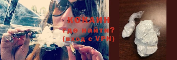 прущие грибы Богородицк