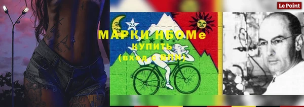 прущие грибы Богородицк