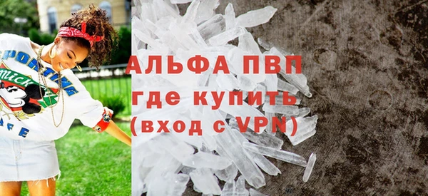 прущие грибы Богородицк