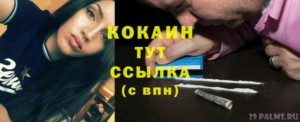 молекула духа Богданович