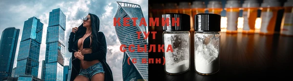 молекула духа Богданович