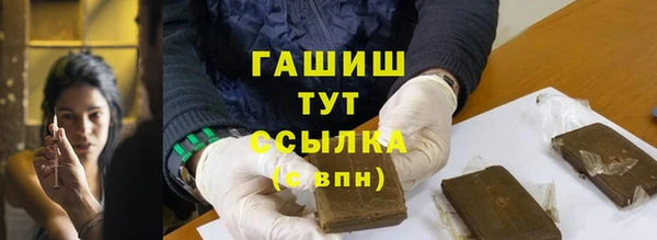 молекула духа Богданович