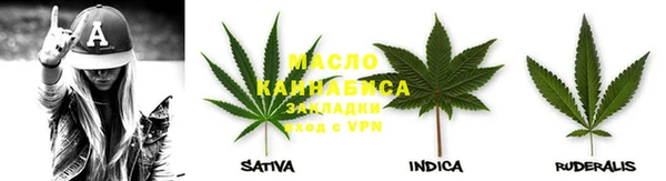 молекула духа Богданович