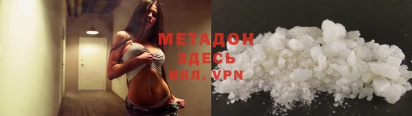 молекула духа Богданович