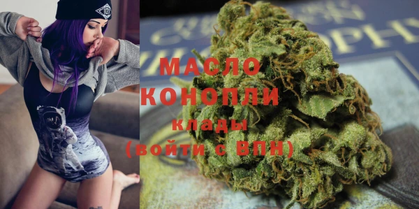 молекула духа Богданович