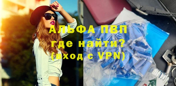 прущие грибы Богородицк