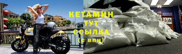 прущие грибы Богородицк