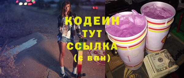 молекула духа Богданович