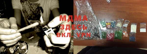 молекула духа Богданович