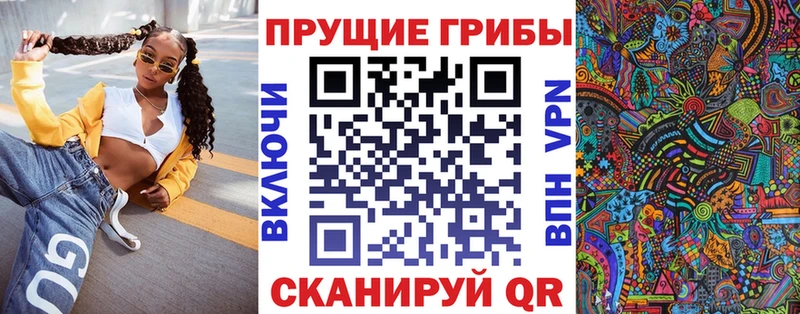 Псилоцибиновые грибы мицелий  где найти наркотики  Элиста 